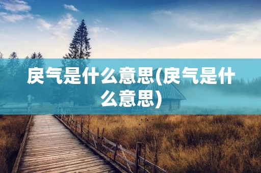 戾气是什么意思(戾气是什么意思)