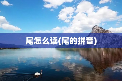 尾怎么读(尾的拼音)
