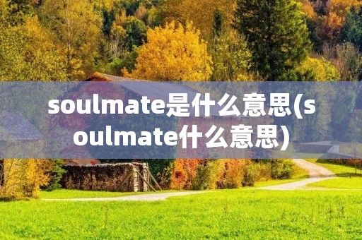 soulmate是什么意思(soulmate什么意思)