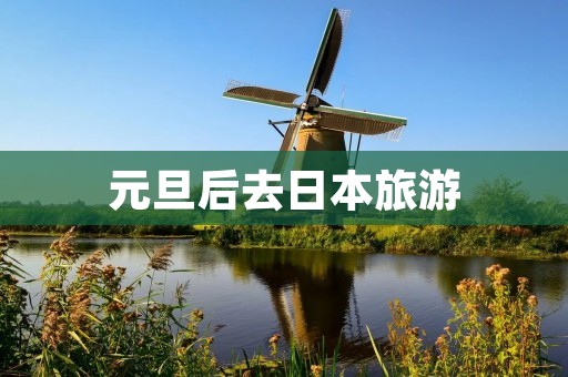 元旦后去日本旅游