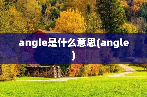 angle是什么意思(angle)