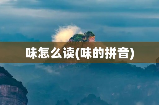 味怎么读(味的拼音)