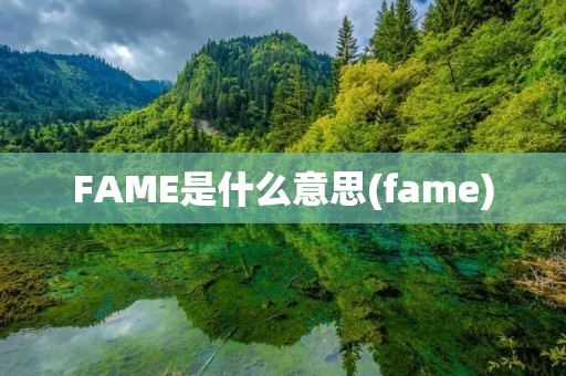 FAME是什么意思(fame)