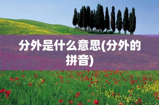 分外是什么意思(分外的拼音)