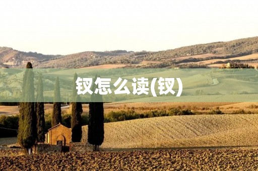 钗怎么读(钗)