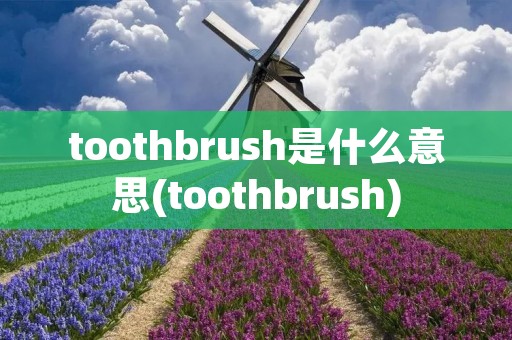 toothbrush是什么意思(toothbrush)