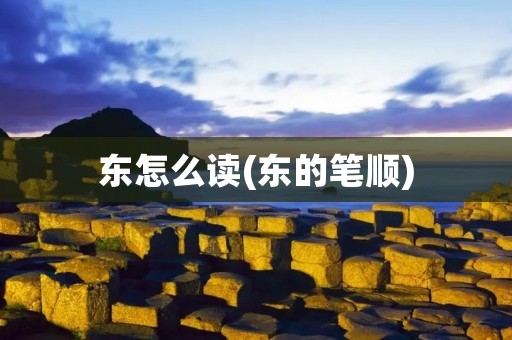 东怎么读(东的笔顺)