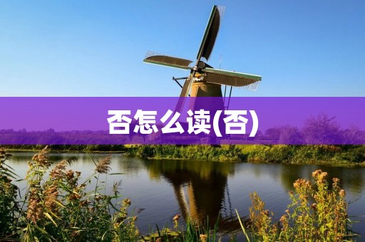 否怎么读(否)