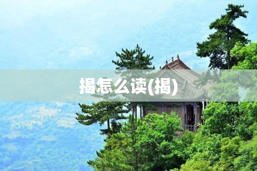揭怎么读(揭)