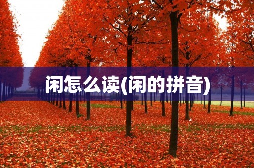 闲怎么读(闲的拼音)