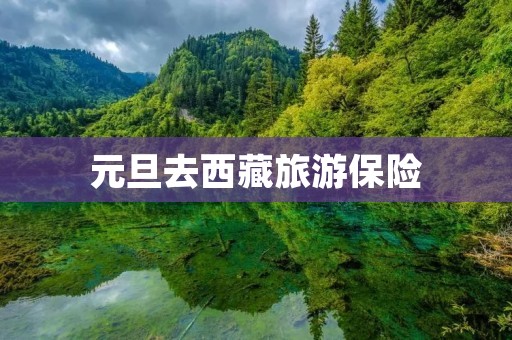 元旦去西藏旅游保险