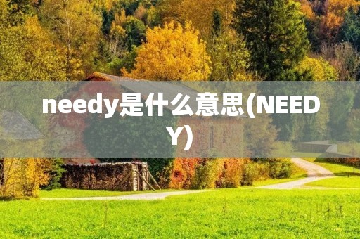 needy是什么意思(NEEDY)