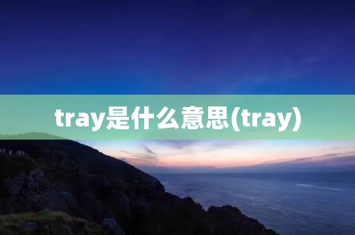tray是什么意思(tray)