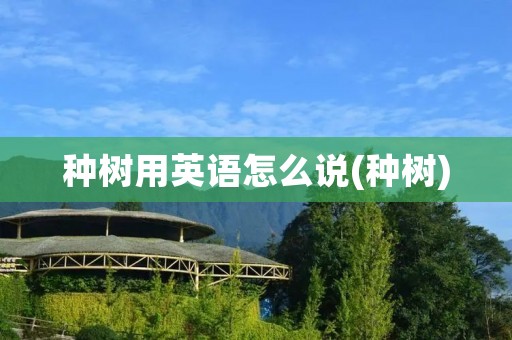 种树用英语怎么说(种树)