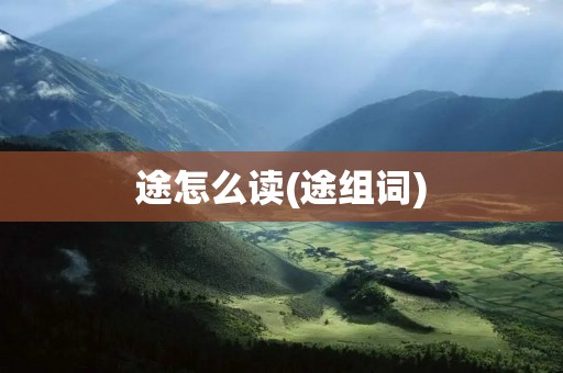 途怎么读(途组词)