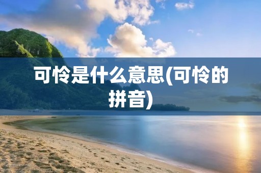 可怜是什么意思(可怜的拼音)