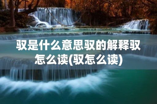 驭是什么意思驭的解释驭怎么读(驭怎么读)