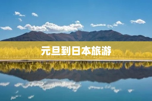 元旦到日本旅游