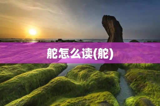 舵怎么读(舵)