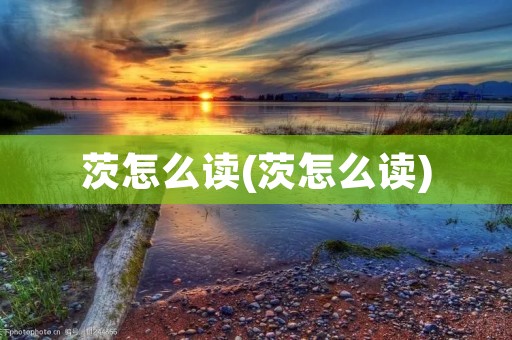 茨怎么读(茨怎么读)