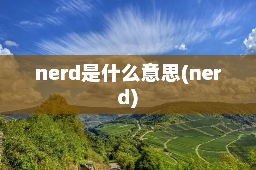 nerd是什么意思(nerd)