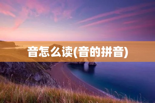 音怎么读(音的拼音)