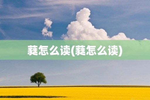 蕤怎么读(蕤怎么读)
