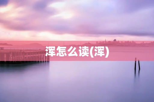 浑怎么读(浑)