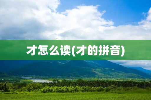 才怎么读(才的拼音)