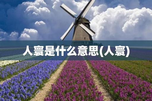 人寰是什么意思(人寰)