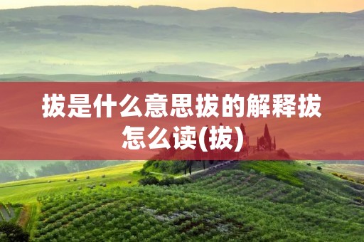 拔是什么意思拔的解释拔怎么读(拔)