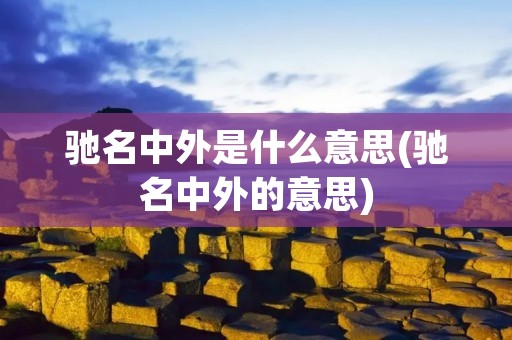 驰名中外是什么意思(驰名中外的意思)