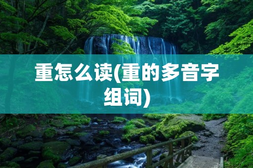 重怎么读(重的多音字组词)