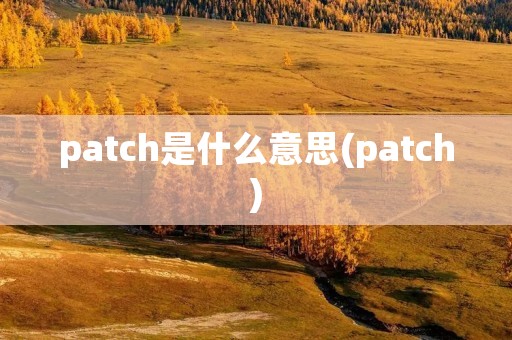 patch是什么意思(patch)