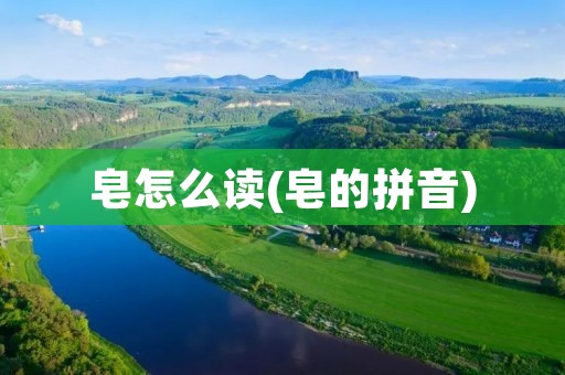 皂怎么读(皂的拼音)
