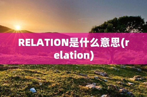 RELATION是什么意思(relation)