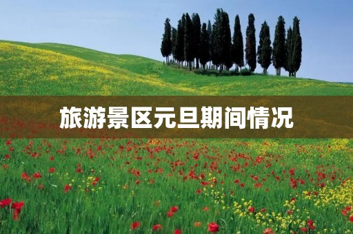旅游景区元旦期间情况