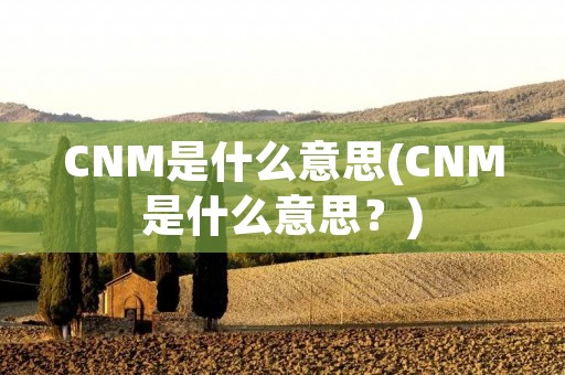 CNM是什么意思(CNM是什么意思？)