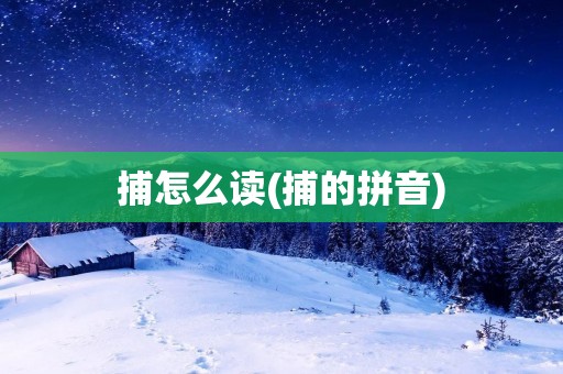 捕怎么读(捕的拼音)