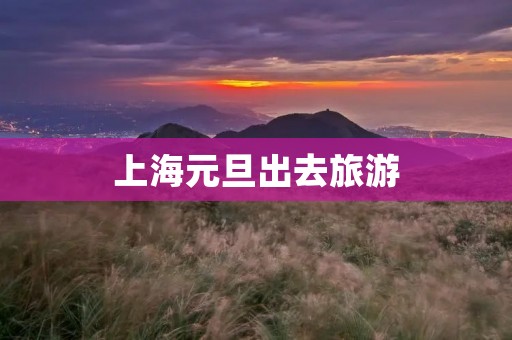 上海元旦出去旅游