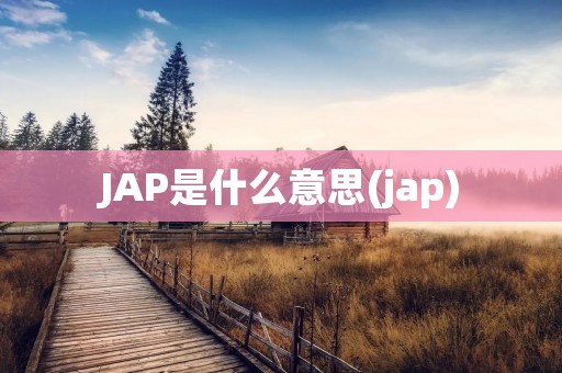 JAP是什么意思(jap)