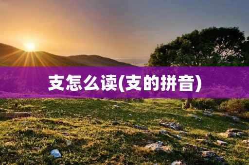 支怎么读(支的拼音)