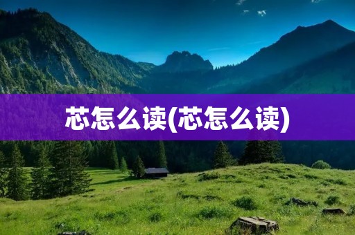 芯怎么读(芯怎么读)