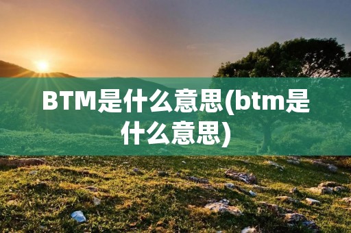 BTM是什么意思(btm是什么意思)