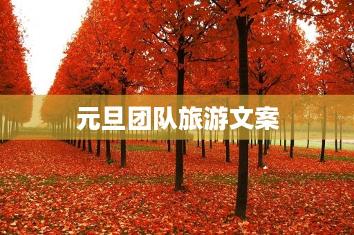 元旦团队旅游文案