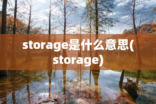 storage是什么意思(storage)