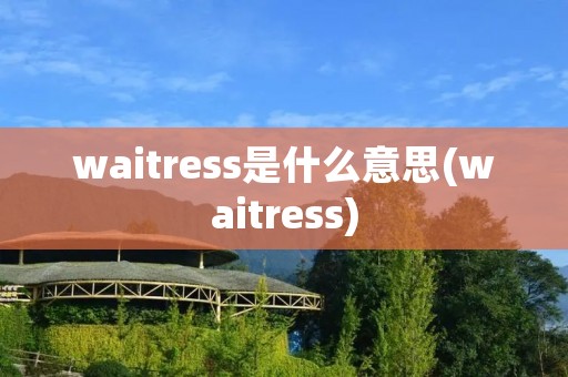 waitress是什么意思(waitress)