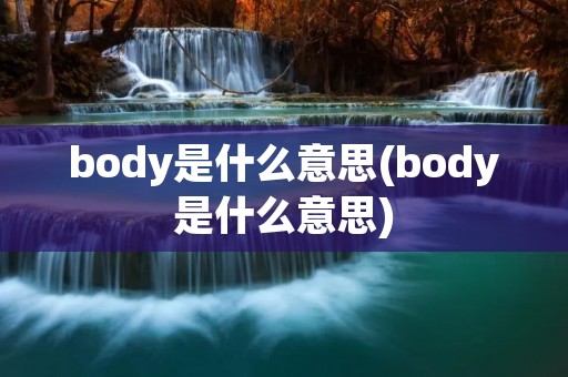 body是什么意思(body是什么意思)