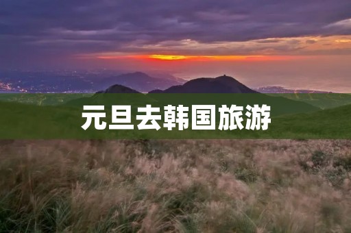 元旦去韩国旅游