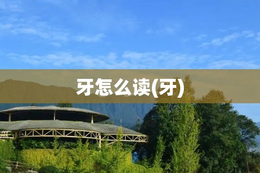 牙怎么读(牙)